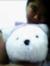 Isabell...