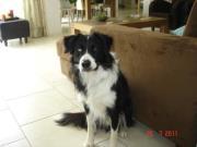 Yvon
