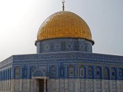 احمد ابوحنفي