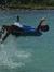Sayed J...