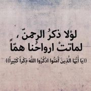 Maha Mahmoud
