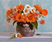 أنس القطيطي