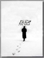 Amr Salem
