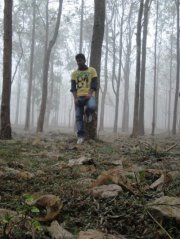 Subbu Palnati