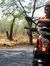 Mohana Sidhaarth