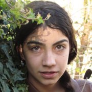 אביבי הורוביץ