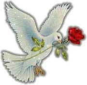 Batah Elwakeel