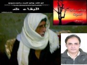 محمود المصرى