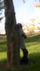 Menna Nasr