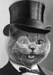 Goodreads profile picture for @menor