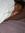 Jacquel...