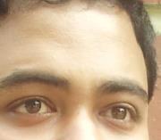 Shehab Meteor