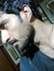 Farhan ...