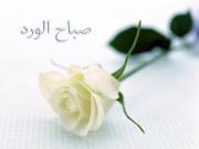 الوردة الدمشقية