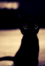 أماني العمري