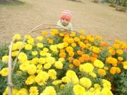 Mehvish Khan