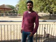 Ahmed Abo elhasan