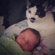 Kimberly Morris phillips