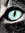 Chapter 35 (chapter35) | 2 comments