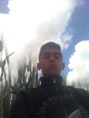 Mohamed El qarouaoui