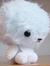 Ck Tg