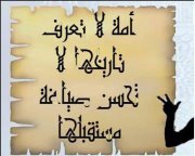 Bakr Anwar