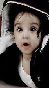 Syed Quadri