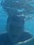 Youssef...