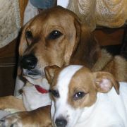 Dorothy Moore grindle