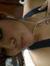 Paola V...