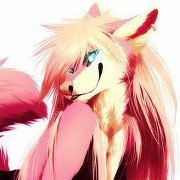 Angelwolf Shadowclaw