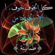 ايمن عبد العزيز