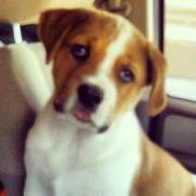 Marcela Arancibia-rojas