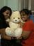 Shivani...
