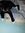 Lune | 9 comments