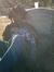Selfmad...