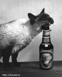 Саня Еремеев