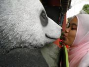 Munirah Mazlan