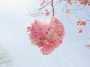 منيرة عبد الله