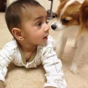 Chaitra Gokul-srinath