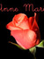 Anne Marie