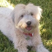 Letitia Mcmillen thompson