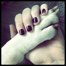 Mariana Charpentier Holmann