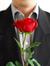 Tareq H...