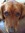 Donna M...