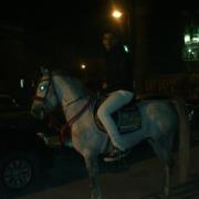 Mostafa Hesham