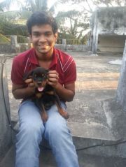 Vignesh Krishnan