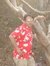 Akshay ...