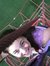 Becka Crist
