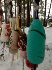 Marybeth James oconnor